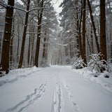 A winding path through a snowy forest with footprints leading the way (1)