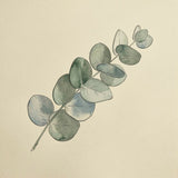 Minimalist Eucalyptus Branch Line Art with Soft Watercolor Leaves