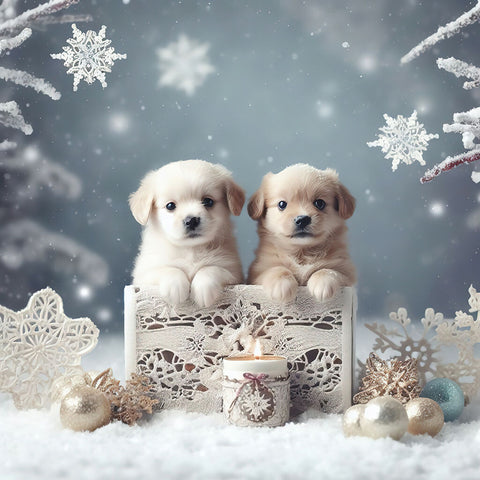 2 cute white puppies in a Christmas decor copy