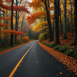 A winding road through a dense forest with autumn leaves in vibrant colors (1)