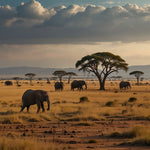 A vast savannah with acacia trees and a herd of elephants in the distance (1)