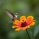 Hummingbird and Colorful Flower Art