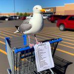 AI seagull shopping list at walmart