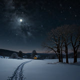 A snowy landscape under a clear, starry night sky with the moon casting a soft glow on the snow (2)