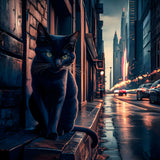 Black cat