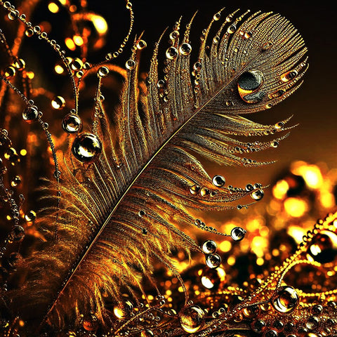 gilded feather adorned with tiny dewdrops
