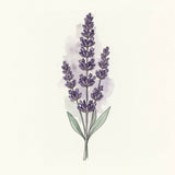 Minimalist Lavender Bouquet Line Art with Soft Watercolor Petals