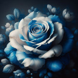 Cloudy with a bit of Blue