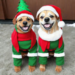 2 dogs in Christmas costumes copy