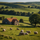 A picturesque countryside with rolling hills, grazing sheep, and a quaint farmhouse (2)