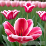 A Girl Standing Among The Tulips. Landscape Ai Art