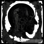 A Skeletal Head. Portrait Ai Art