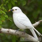 A White Bird With An Orange Beak Sitting On A Branch Animal Ai Art