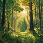 The Magic Forest; Serene Forest Scene