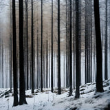 اشجار منعزلة Ai Artwork