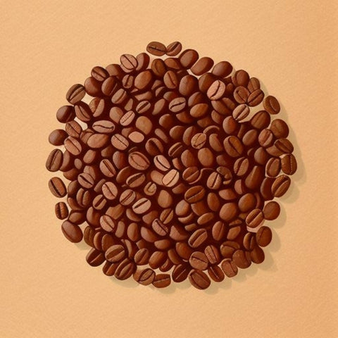Coffee_Bean_Circle_(Illustration)