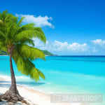 Beach With A Beautiful Coastline. Palm Trees And Cacaribbeanea. Color Water Is Turquoise Little