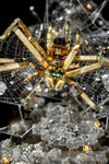 Beautiful Spider #1 Nature Ai Art