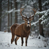 Winter Wildlife Deer or other wildlife standing in a snowy forest (2)