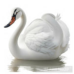 Close Up Of A Swan Is Isolated On White Background Animal Ai Art