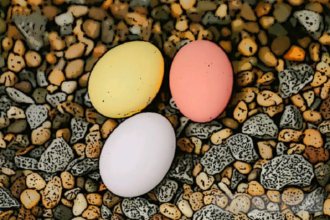 Colorful Eggs Pop Ai Art