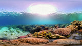 Coral Reefs Landscape Ai Art