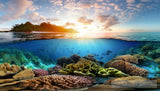 Coral Reefs Landscape Ai Art