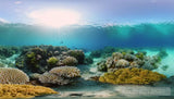 Coral Reefs Landscape Ai Art