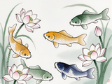 Koi Drift – Zen Water Garden Cloth 4