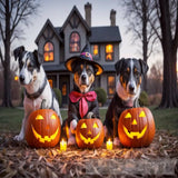 Dog Halloween Animal Ai Art