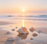 serene beach sunrise photography backdrop with morning mist and seashells on the sand