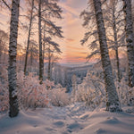 Snow-Covered Forest