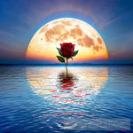 Heart Valentine’s Day Moon Flower Rose Colors Beauty Love Ocean Landscape Ai Art