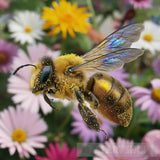 Honey Bee Up Close: A Stunning Macro Photo | [Stellex] Ai Artwork