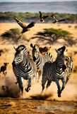 Horses And Zebras Ai Artwork