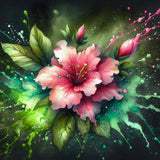 Rosablüte4