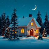 Christmas Winter Landscape Moon and Stars