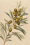 Olives 2 20x30in