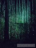 Into The Woods Nature Ai Art