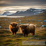 جاموس بري Animal Ai Art