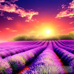 Lavender Field Sunset Nature Ai Art