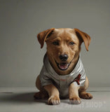 Loyal And Friendly Dog Animal Ai Art