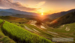 Misty Rice Terraces And Mountain Range Landscape Ai Art