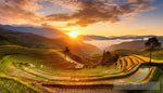 Misty Rice Terraces And Mountain Range Landscape Ai Art