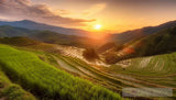 Misty Rice Terraces And Mountain Range Landscape Ai Art