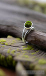 Moss Ring Nature Ai Art