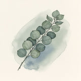 Minimalist Eucalyptus Branch Line Art with Soft Watercolor Leaves