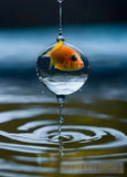 نقطه ماء Ai Artwork