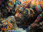 Psychedelic Tiger