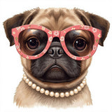 Cute Pug Portait